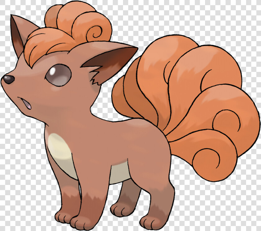 Torchic Png  Transparent PngTransparent PNG