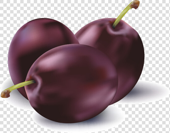 Transparent Apricot Png   Fruit Icon Realistic  Png DownloadTransparent PNG