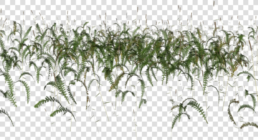 Transparent Grass Photoshop Png   Cutout Fish Photoshop  Png DownloadTransparent PNG