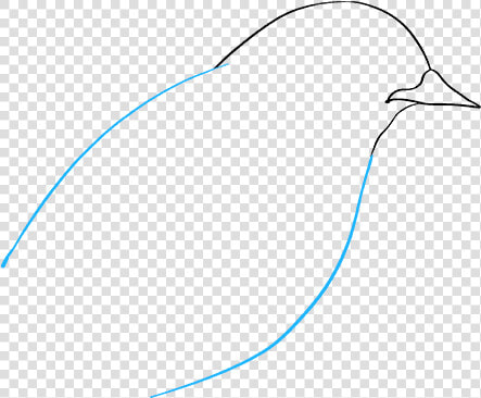 How To Draw Eastern Bluebird   Sketch  HD Png DownloadTransparent PNG