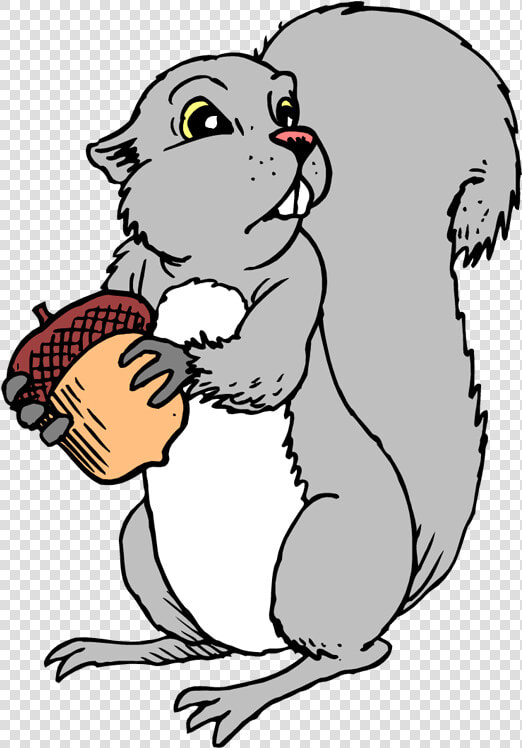 Squirrel Nuts Picture   Gray Squirrel Clipart  HD Png DownloadTransparent PNG