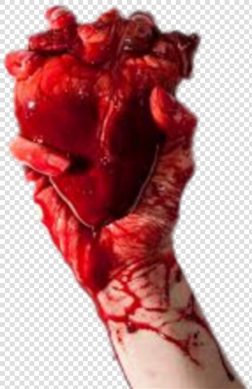  humanheart  hand  handholding  blood  heart   Hand Holding Real Heart  HD Png DownloadTransparent PNG
