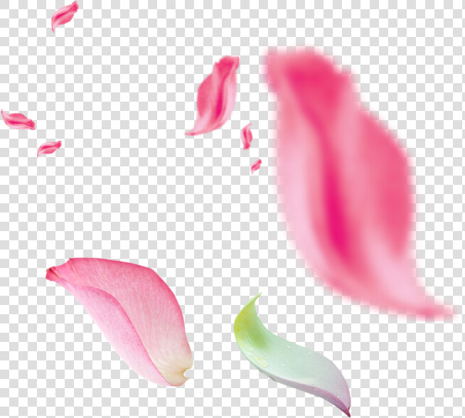 Petalos Rosa Png   Png Download   Cánh Hoa Bay Trong Gió  Transparent PngTransparent PNG