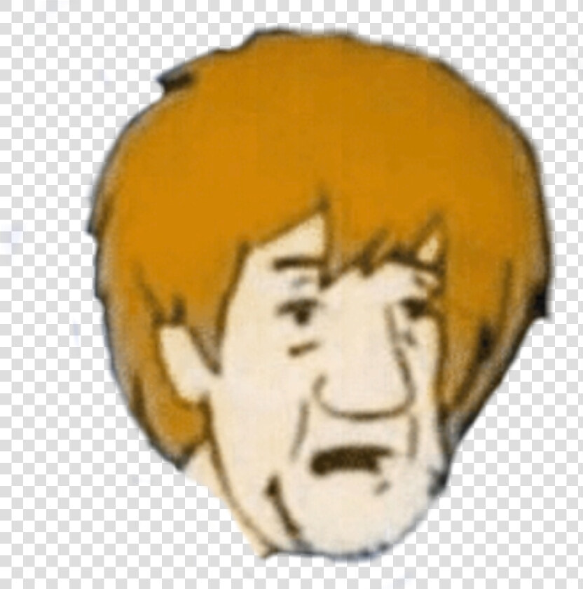  shaggy  meme  shaggymeme  2019  memes  shaggymemes   You Reposted In The Wrong Neighborhood  HD Png DownloadTransparent PNG