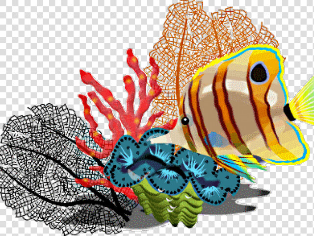 Tropical Fish Clipart Butterfly Fish   Tropical Fish Clip Art  HD Png DownloadTransparent PNG