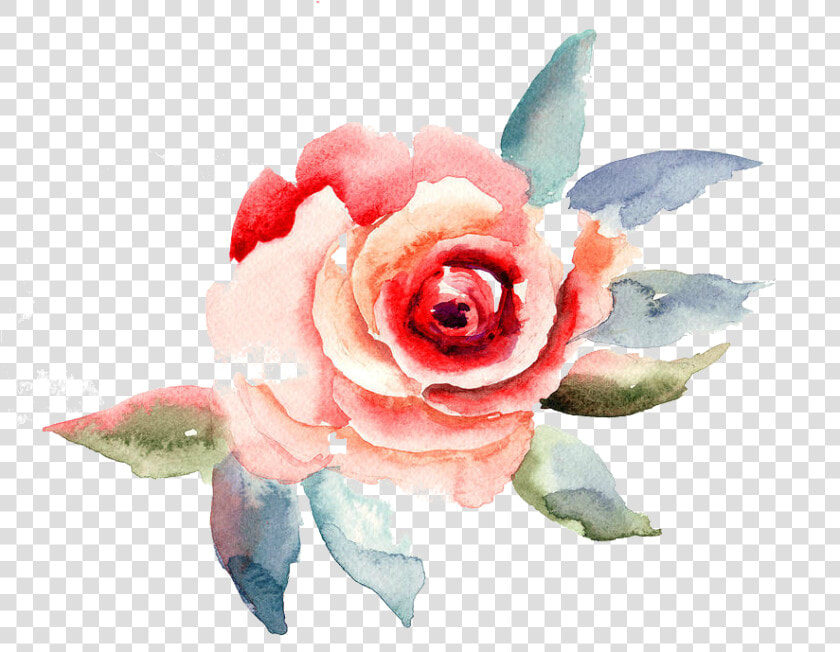 Travelling To Infinity   Rose Flower Watercolor Painting  HD Png DownloadTransparent PNG