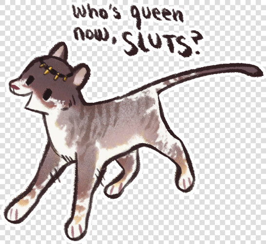 Cat Jumps  HD Png DownloadTransparent PNG