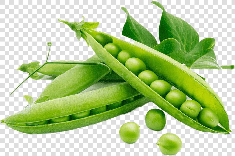 Green Beans Png Download Image   Peas Rich In Protein  Transparent PngTransparent PNG