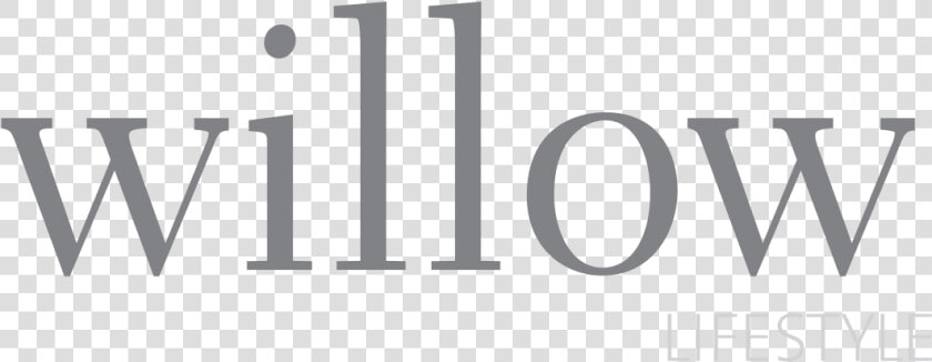 Willow Lifestyle   Graphics  HD Png DownloadTransparent PNG