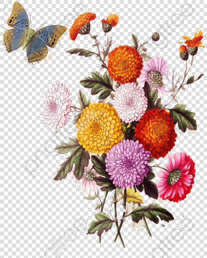 European Aesthetic Vintage Floral   Aesthetic Vintage Png  Transparent PngTransparent PNG