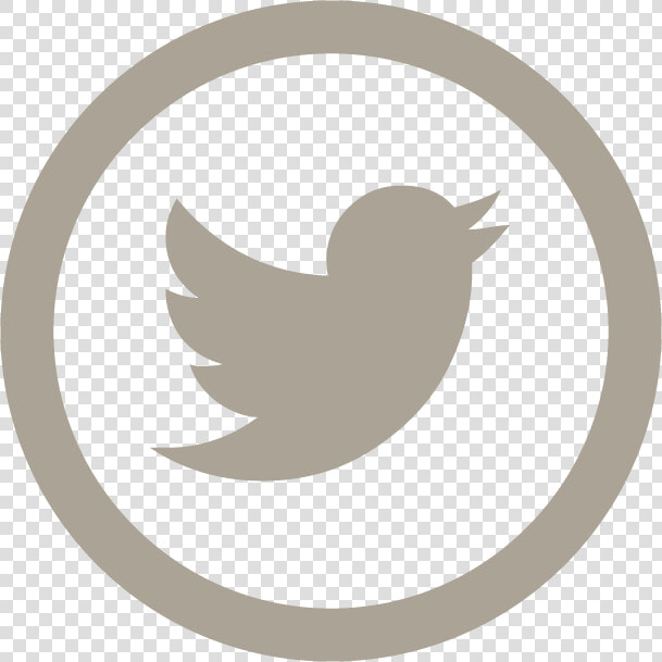 Social Media Logos Png Individual Hd Logo Free Unlimited   Twitter Icon Grey Png  Transparent PngTransparent PNG