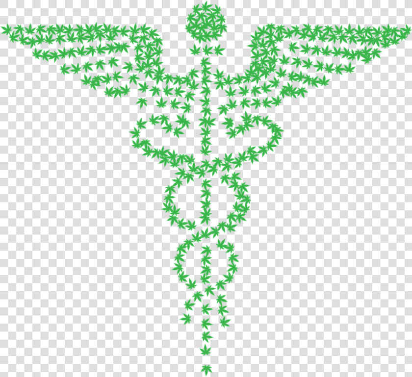 Massage And Cannabis   Physiotherapy Clinic Physiotherapy Symbol  HD Png DownloadTransparent PNG