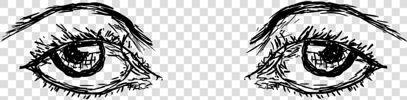 Eyebrows Png  Transparent PngTransparent PNG
