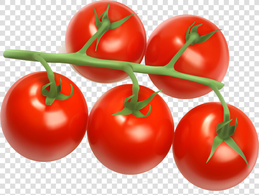 Tomato Juice Cherry Tomato Clip Art   Cherry Tomato Clipart  HD Png DownloadTransparent PNG