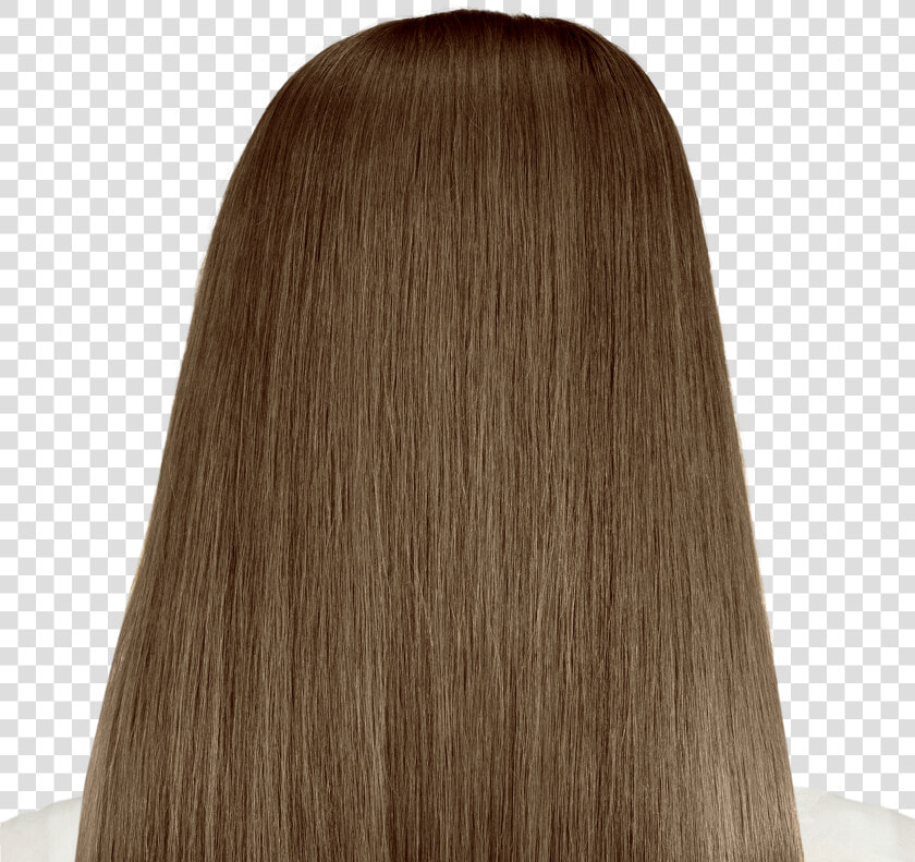 Transparent Hair Png Transparent   Veneto Light Brown Hair  Png DownloadTransparent PNG