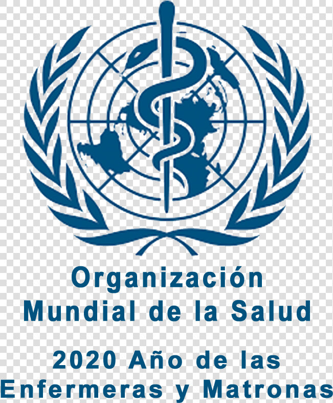 Modelo   World Health Organization 2019  HD Png DownloadTransparent PNG
