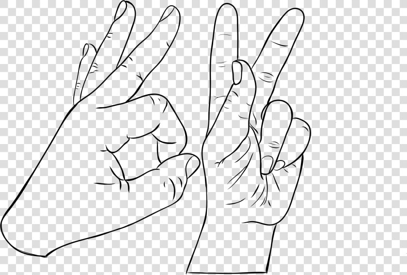 Lauren Shared A Drawing With You   Drawing  HD Png DownloadTransparent PNG