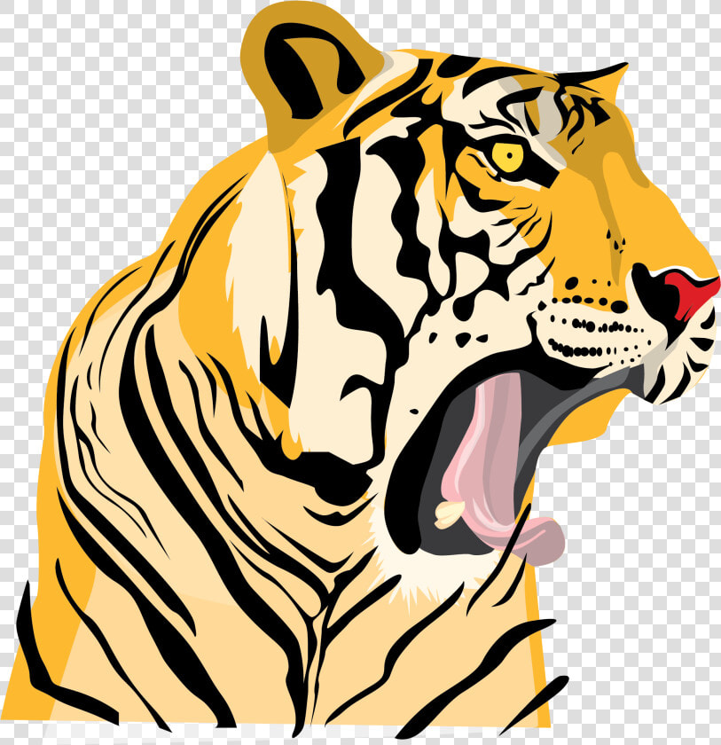 Drawing Tigers Roaring   Tiger Roaring Drawing Cartoon  HD Png DownloadTransparent PNG