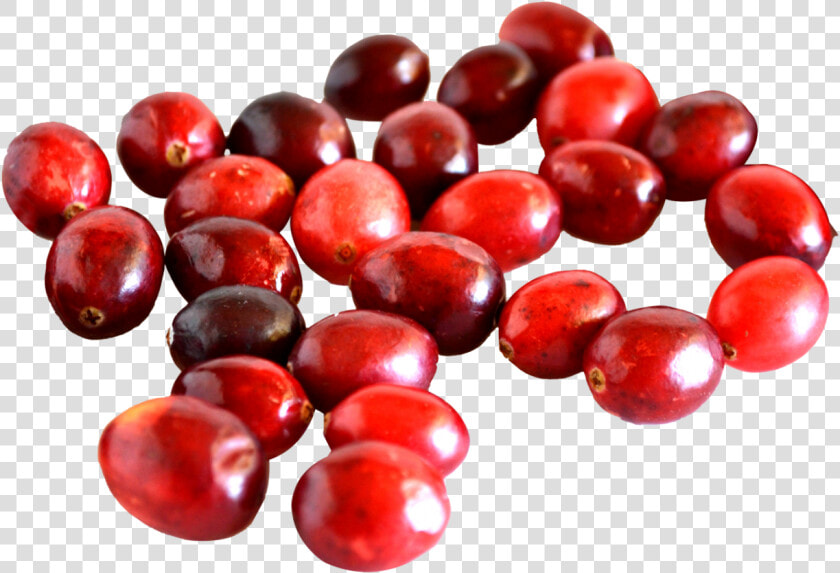Cranberry Png Image   Difference Between Cranberry And Cherry  Transparent PngTransparent PNG