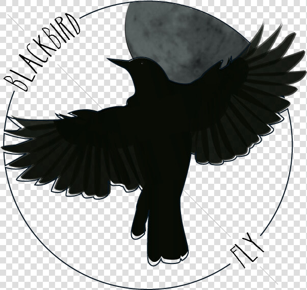 Blackbird Art Drawing Northern Flicker The Beatles   Cow Head Clipart  HD Png DownloadTransparent PNG