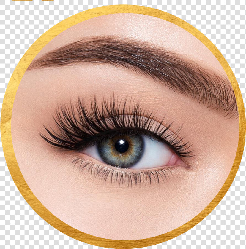 Extensiones De Pestañas Png  Transparent PngTransparent PNG