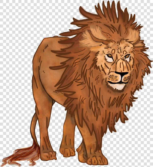 Lion   Masai Lion  HD Png DownloadTransparent PNG