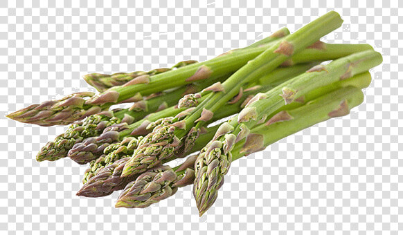 Garden Asparagus  HD Png DownloadTransparent PNG