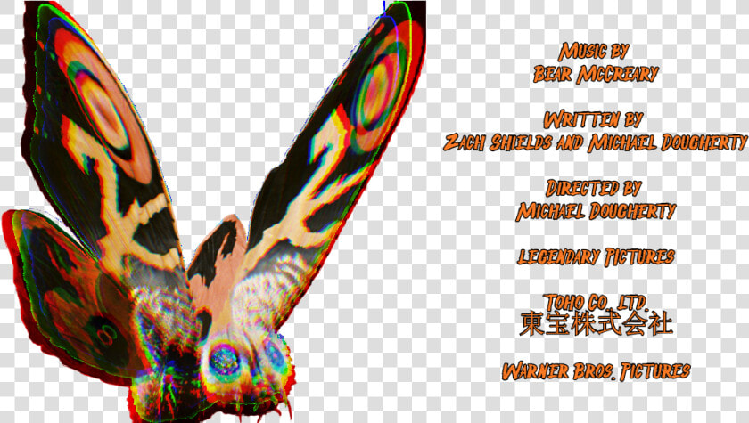 Brush footed Butterfly  HD Png DownloadTransparent PNG