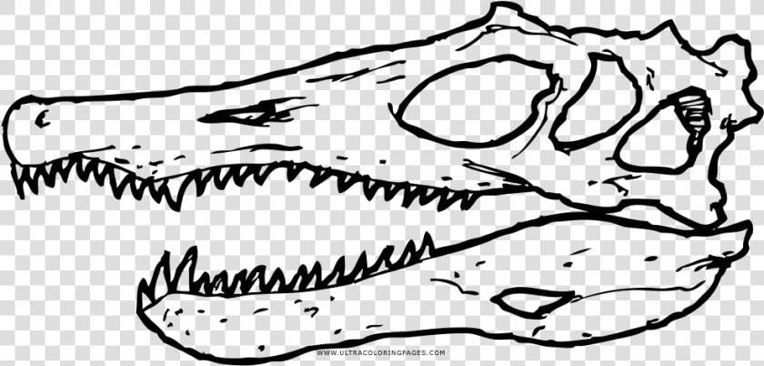 Spinosaurus Skull Coloring Page  HD Png DownloadTransparent PNG