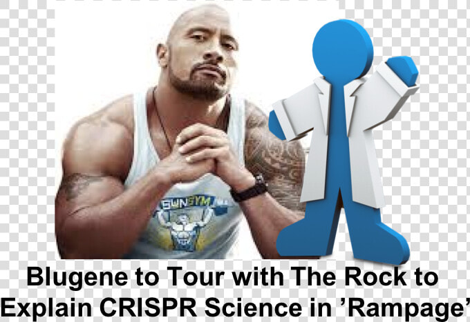 Rock Bodybuilding  HD Png DownloadTransparent PNG