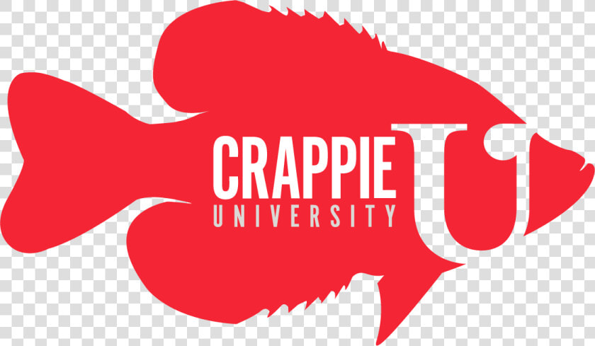 Crappie u   Illustration  HD Png DownloadTransparent PNG