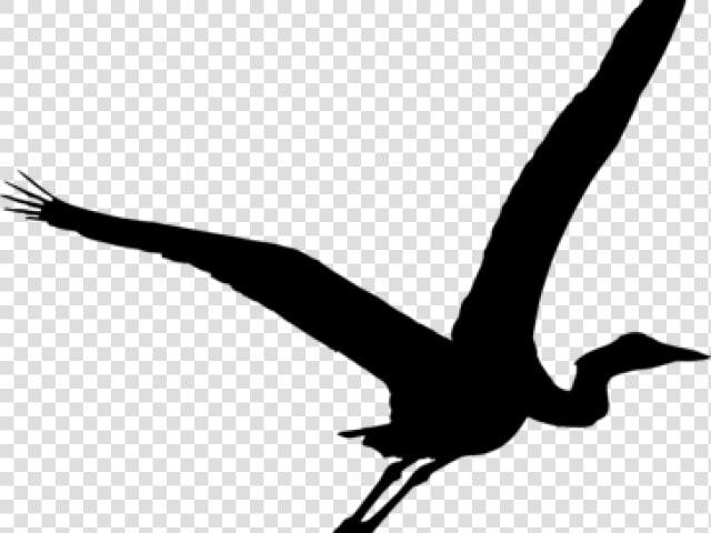 Heron Silhouette   Transparent Heron Silhouette  HD Png DownloadTransparent PNG