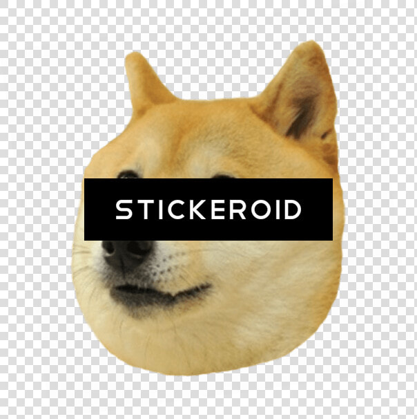 Doge Head Big   Transparent Memes Stickers Whatsapp  HD Png DownloadTransparent PNG