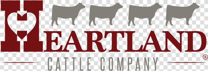 Heartland Cattle Company  HD Png DownloadTransparent PNG