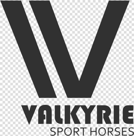 Valkyrie Option 1   Graphics  HD Png DownloadTransparent PNG