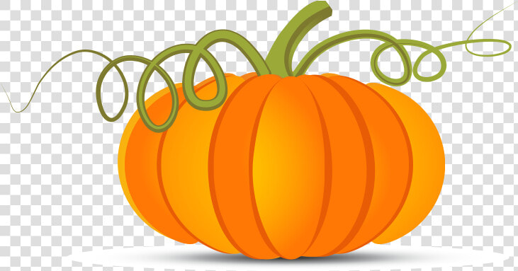 Pumpkin Vector Png   Pumpkin Vector Transparent Background  Png DownloadTransparent PNG
