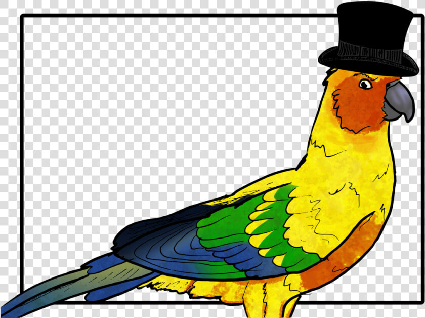 Image Black And White Download Birb Drawing Conure   Parakeet  HD Png DownloadTransparent PNG