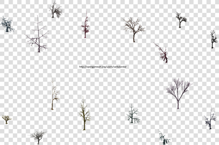 Hjm Dead Trees 1 Alpha   Tree  HD Png DownloadTransparent PNG
