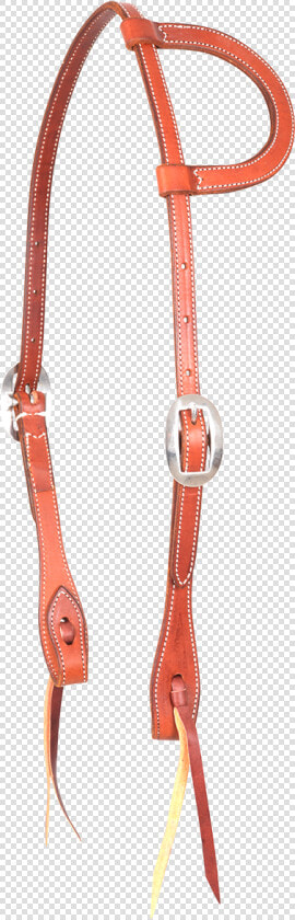 Halter  HD Png DownloadTransparent PNG