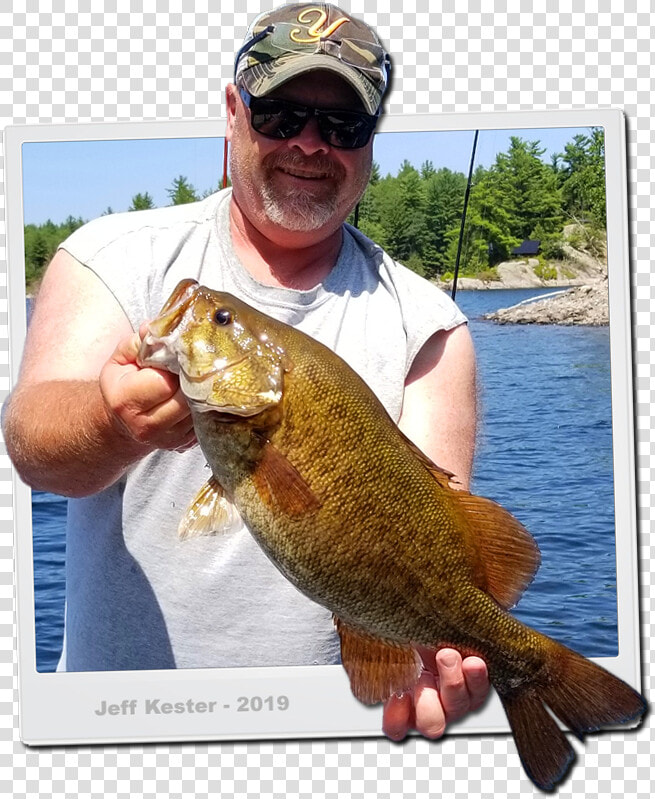 Smallmouth Bass   Pull Fish Out Of Water  HD Png DownloadTransparent PNG