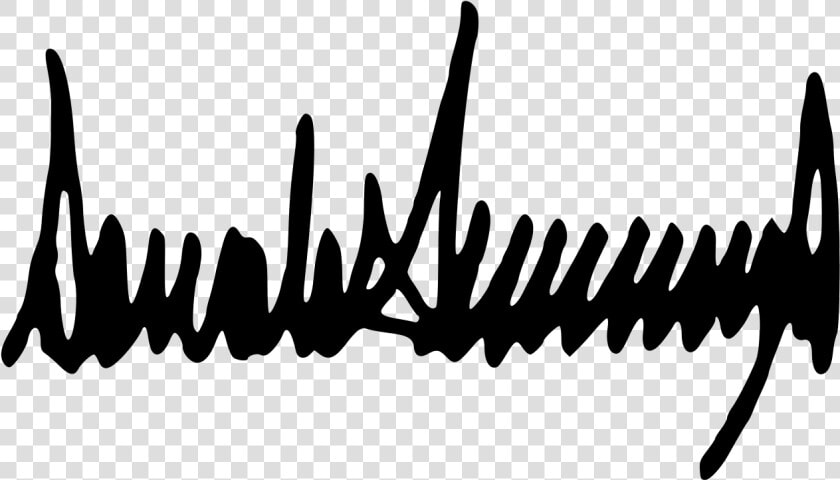 Donald Trump Signature Png   Donald Trump Signature  Transparent PngTransparent PNG
