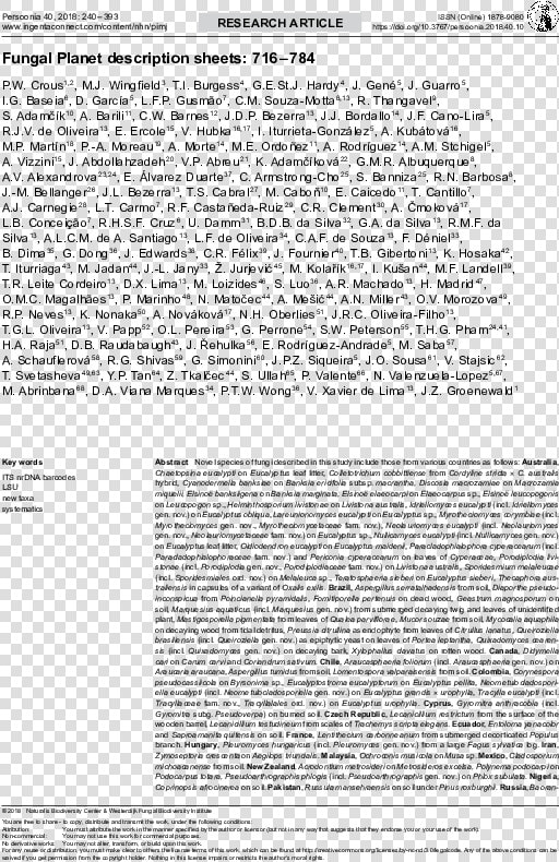 “bernard G   bernie  Silberstein  1905–1999  quot   HD Png DownloadTransparent PNG
