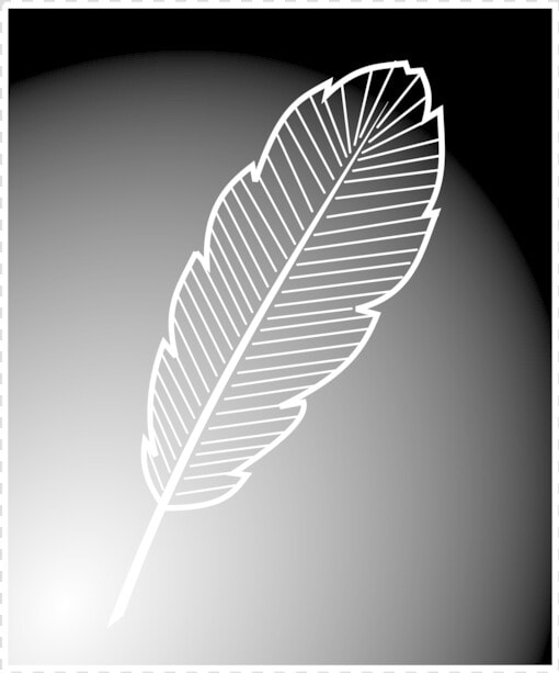 Leaf monochrome Photography monochrome   Floating Feather Free  HD Png DownloadTransparent PNG