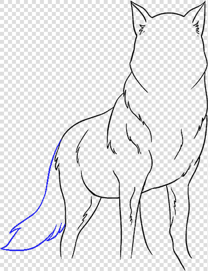 How To Draw Wolf   Easy Wolf Drawing  HD Png DownloadTransparent PNG