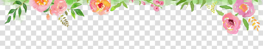 Floral Header  HD Png DownloadTransparent PNG