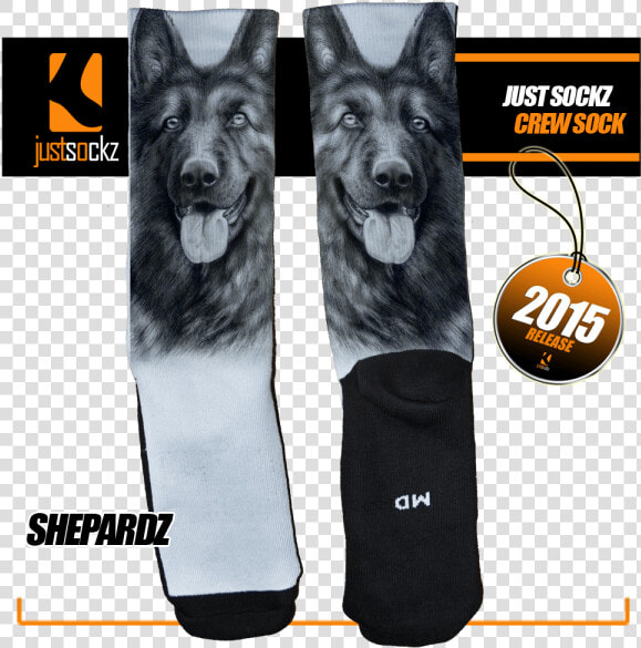 German Shepard Png  Transparent PngTransparent PNG