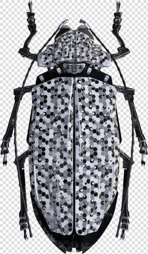 Longhorn Beetle  HD Png DownloadTransparent PNG