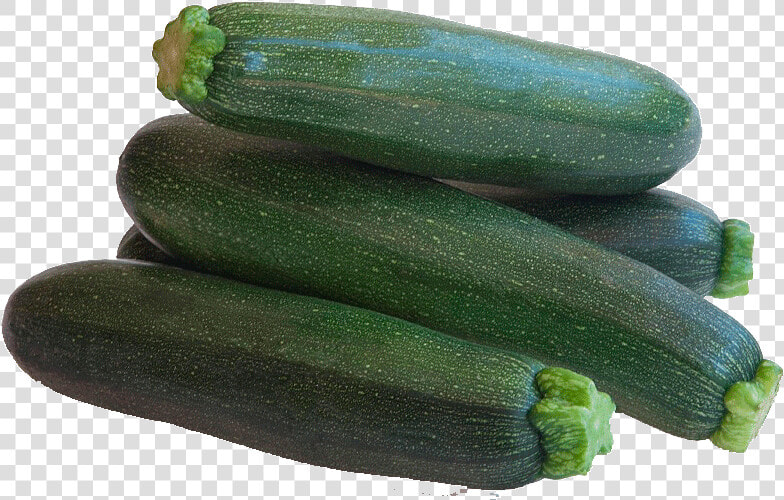 Zucchini Png  Transparent PngTransparent PNG