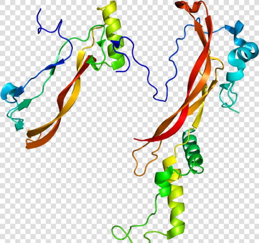 Protein Nog Pdb 1m4u   Proteina Nogina  HD Png DownloadTransparent PNG