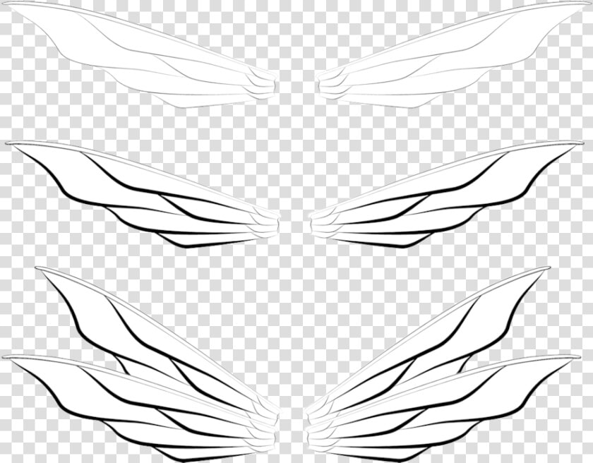 Transparent Realistic Fairy Wings Png   Line Art  Png DownloadTransparent PNG